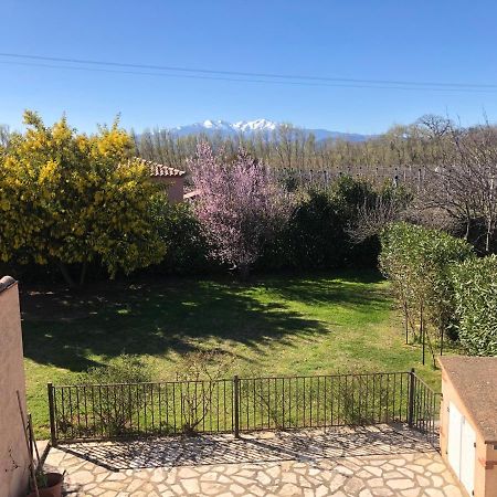 AU MIMOSA -Gîte Le Canigou Passa Extérieur photo