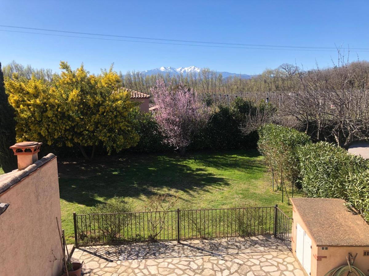 AU MIMOSA -Gîte Le Canigou Passa Extérieur photo