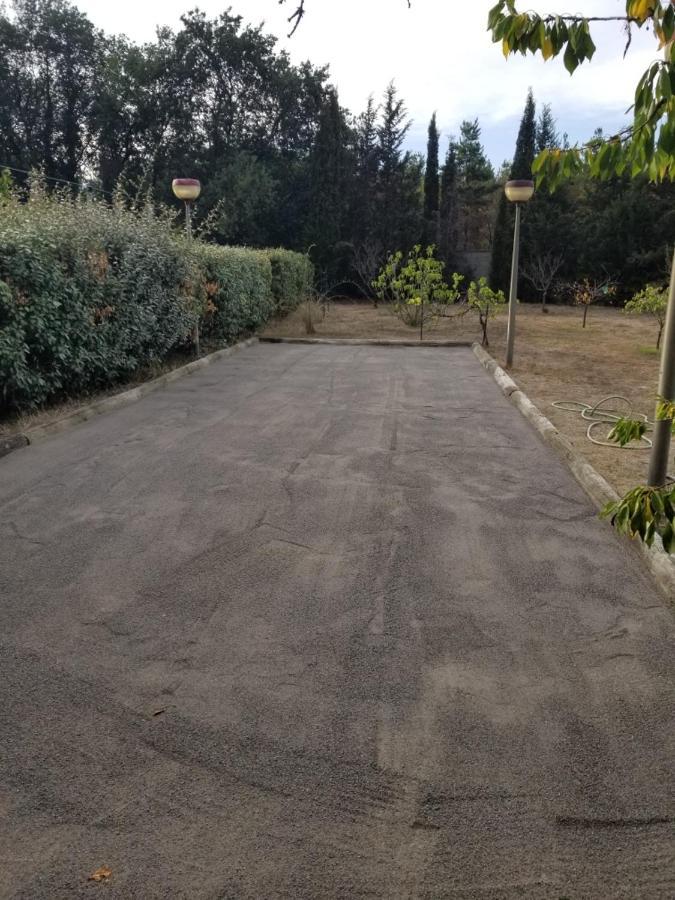 AU MIMOSA -Gîte Le Canigou Passa Extérieur photo